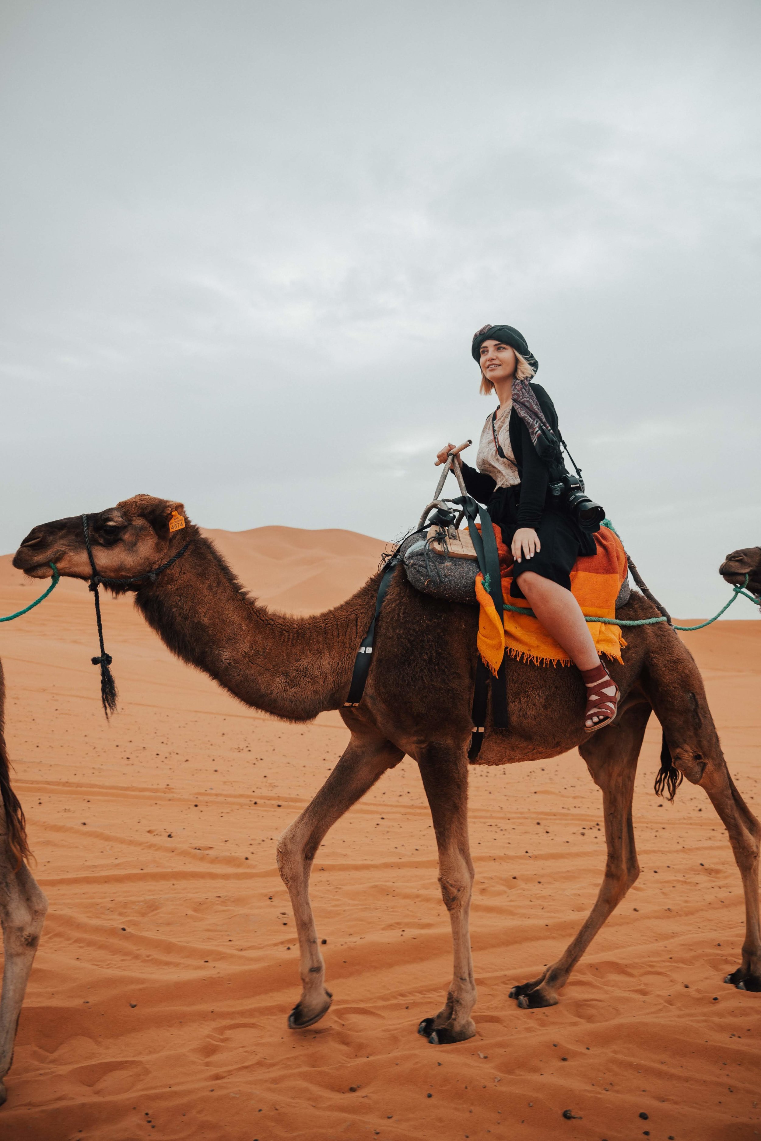 Camel Riding Covers Camel riding - Royal Jordanian