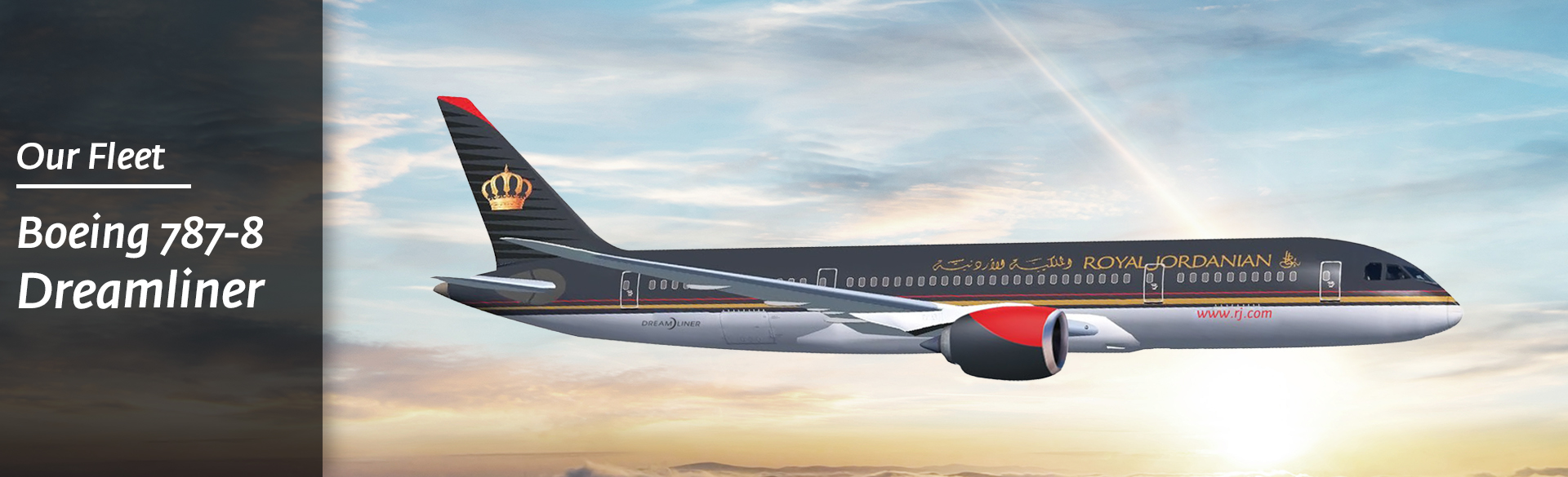 our fleet boeing 787-8 dreamliner